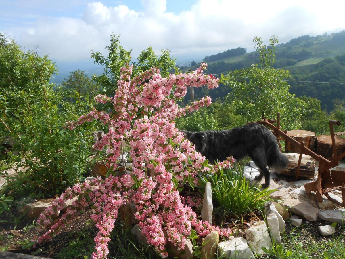 Agriturismo La Casa Nei Boschi Colderu المظهر الخارجي الصورة