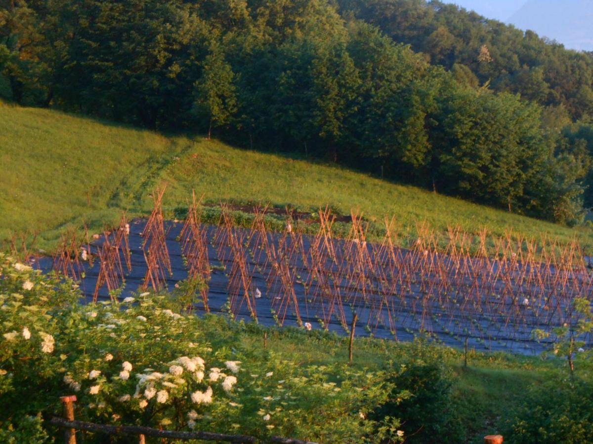Agriturismo La Casa Nei Boschi Colderu المظهر الخارجي الصورة
