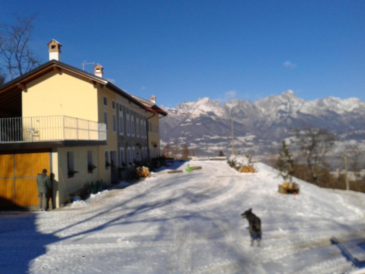 Agriturismo La Casa Nei Boschi Colderu المظهر الخارجي الصورة