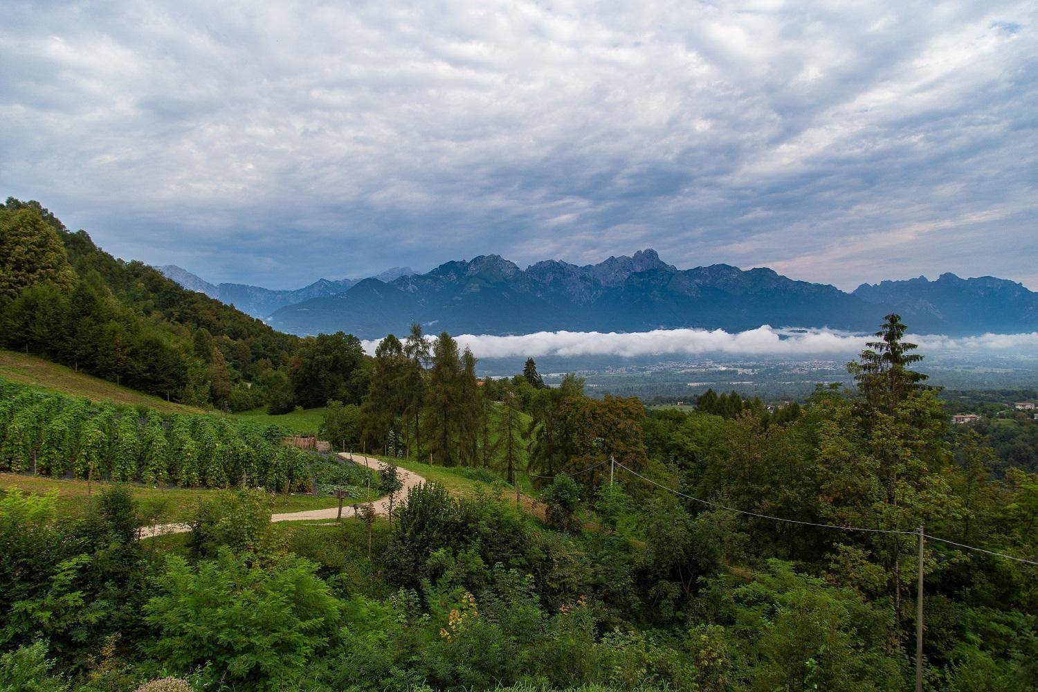 Agriturismo La Casa Nei Boschi Colderu المظهر الخارجي الصورة