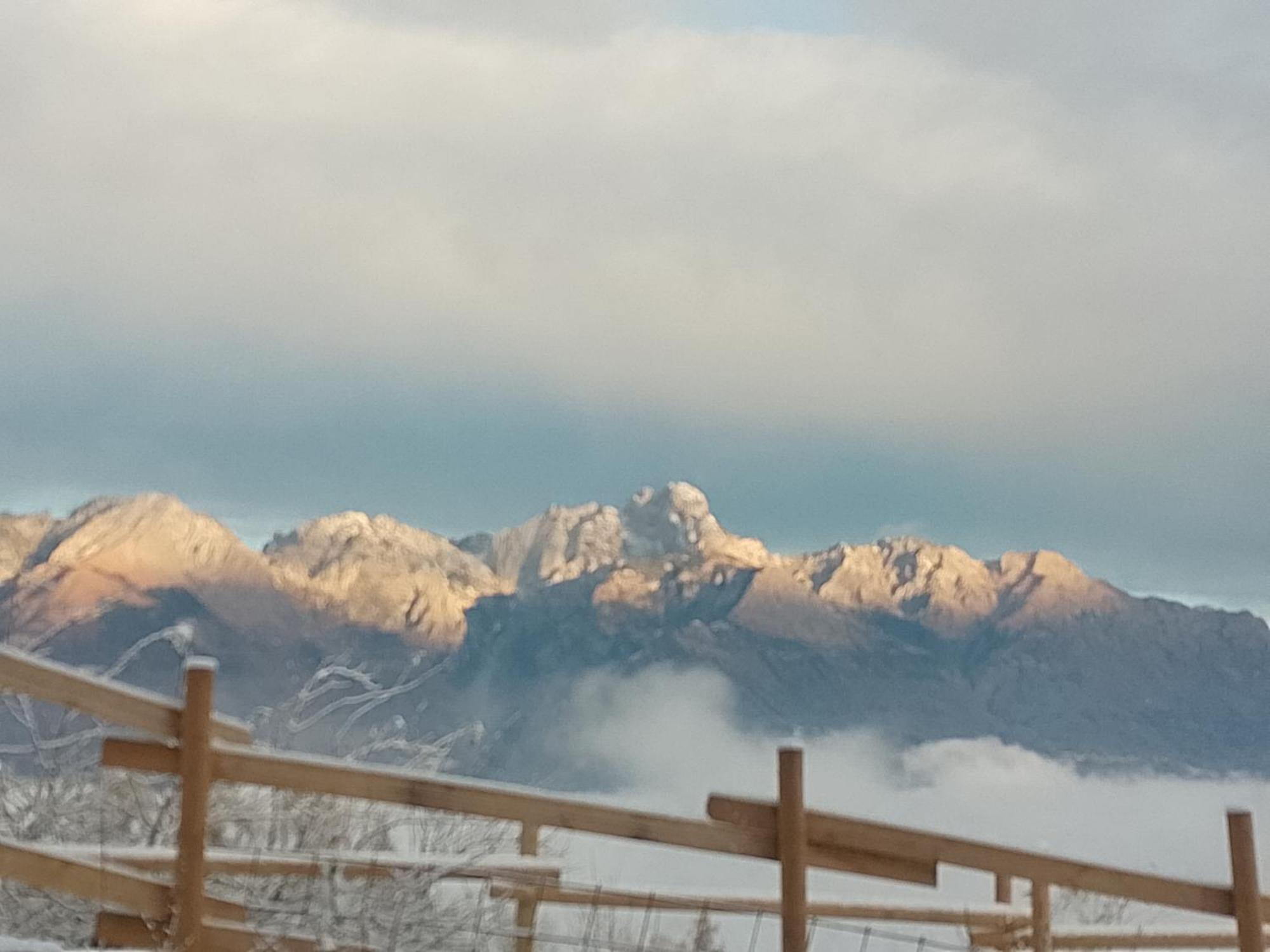 Agriturismo La Casa Nei Boschi Colderu المظهر الخارجي الصورة